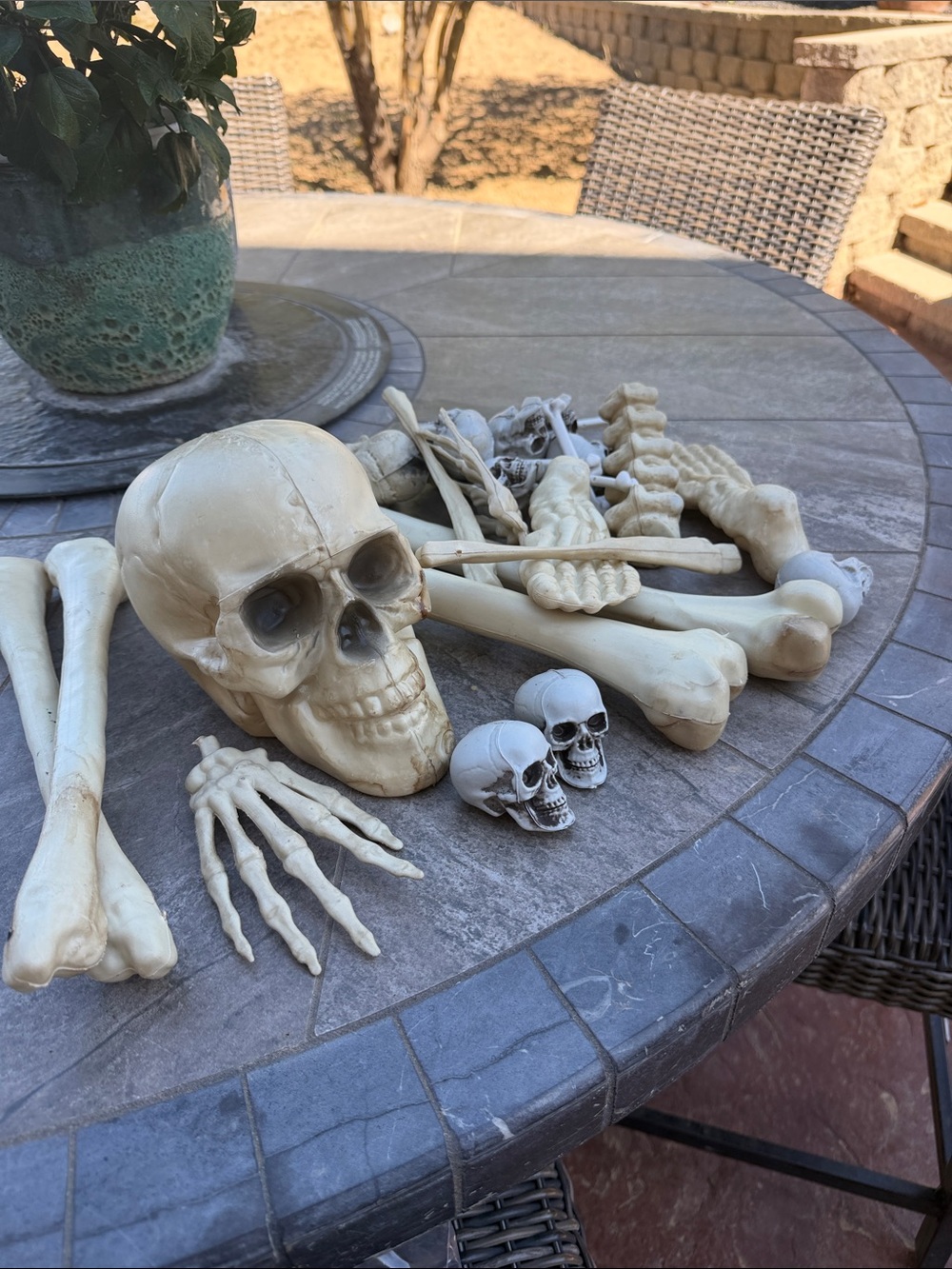 Decorative Plastic Skeleton Pieces - Ivory Bone Color